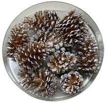 Load image into Gallery viewer, Gold &amp; White Glitter Pine Cones